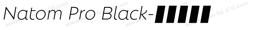 Natom Pro Black字体转换